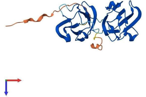 CRYBB3 Protein (AA 1-211) (His tag)