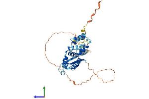Protein Structure (PS) image for Death Effector Domain Containing 2 (DEDD2) (AA 1-326) protein (His tag) (ABIN7547019)