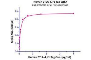 Binding Studies (Bind) image for Cytotoxic T-Lymphocyte-Associated Protein 4 (CTLA4) (AA 37-160) (Active) protein (Fc Tag) (ABIN2180932)