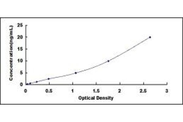 DNM2 ELISA Kit