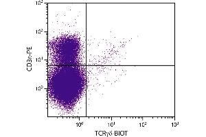 BALB/c mouse thymocytes were stained with Hamster Anti-Mouse TCRγδ-BIOT. (TCRgd Antikörper (Biotin))