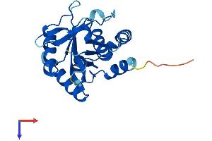 EMC9 Protein (AA 1-208) (His tag)