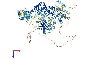 MSH4 Protein (AA 1-958) (His tag)