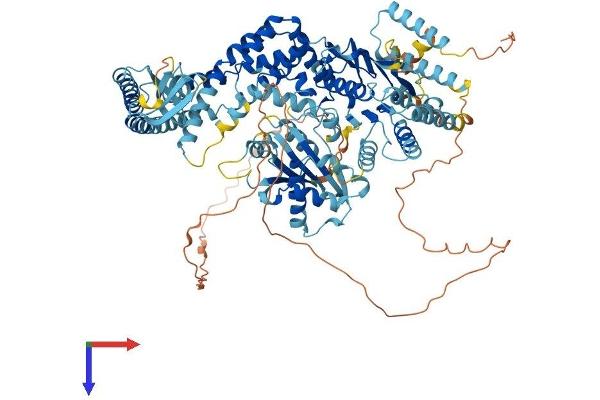 MSH4 Protein (AA 1-958) (His tag)