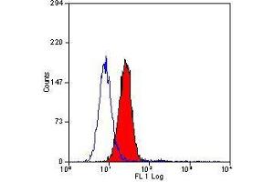 Flow Cytometry (FACS) image for anti-Vascular Cell Adhesion Molecule 1 (VCAM1) antibody (ABIN316780) (VCAM1 Antikörper)