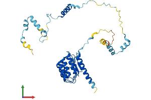 Protein Structure (PS) image for Tropomodulin 2 (TMOD2) (AA 1-351) protein (His tag) (ABIN7561638)
