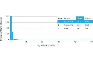 Analysis of Protein Array containing more than 19,000 full-length human proteins using Uroplakin 1A Mouse Monoclonal Antibody (UPK1A/2925) Z- and S- Score: The Z-score represents the strength of a signal that a monoclonal antibody (MAb) (in combination with a fluorescently-tagged anti-IgG secondary antibody) produces when binding to a particular protein on the HuProtTM array. (UPK1A Antikörper  (AA 114-173))