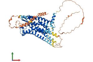 Protein Structure (PS) image for Relaxin 3 Receptor 1 (RXFP3) (AA 1-469) protein (His tag) (ABIN7551437)