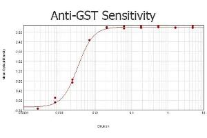 ELISA results of purified Goat anti-GST Antibody Biotin Conjugated tested against purified GST.