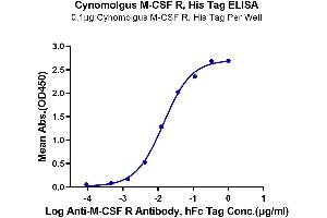 ELISA image for Colony Stimulating Factor 1 Receptor (CSF1R) (AA 99-596) protein (His tag) (ABIN7274422)