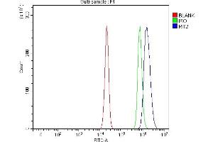 Flow Cytometry analysis of U20S cells using anti-RIT2 antibody (ABIN7599801). (RIT2 Antikörper  (AA 119-193))