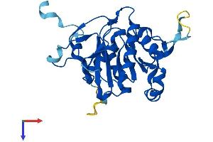 PSMG2 Protein (AA 1-264) (His tag)