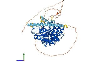 Protein Structure (PS) image for serine/arginine-Rich Protein Specific Kinase 3 (SRPK3) (AA 1-567) protein (His tag) (ABIN7546313)