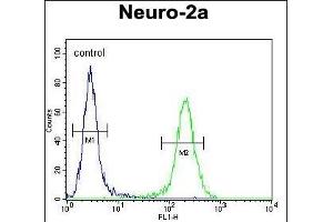 ZDHC2 Antibody (N-term) (ABIN651781 and ABIN2840397) flow cytometric analysis of Neuro-2a cells (right histogram) compared to a negative control (left histogram). (ZDHHC2 Antikörper  (AA 77-106))