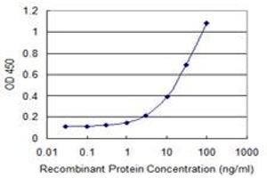 Detection limit for recombinant GST tagged MYLIP is 0. (MYLIP Antikörper  (AA 1-445))