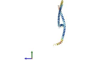 Protein Structure (PS) image for FGFR1 Oncogene Partner 2 (FGFR1OP2) (AA 1-253) protein (His tag) (ABIN7547608)