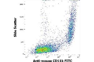 Flow cytometry surface staining pattern of murine peritoneal fluid cells stained using anti-mouse CD11b (M1/70) FITC antibody (concentration in sample 0,5 μg/mL).