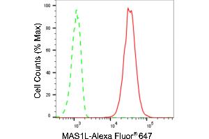 Flow cytometric analysis of MAS1L expression in C2C12 cells using MAS1L antibody (ABIN7799334), 1:2,000). (Rekombinanter MAS1L Antikörper)