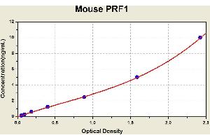 Perforin 1 (Pore Forming Protein) (PRF1) ELISA Kit