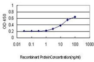Detection limit for recombinant GST tagged HECW2 is approximately 0. (HECW2 Antikörper  (AA 637-745))