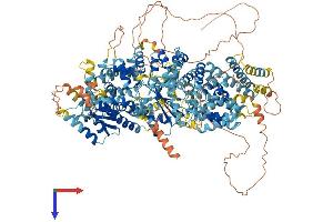 AlphaFold protein structure predicition of Human Recombinant TTC41P Protein, UniprotID Q6P2S7 (Ttc41/Gnn Protein (AA 1-1318) (His tag))