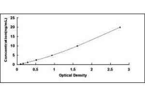 Typical standard curve (DYNC2H1 ELISA Kit)