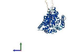Protein Structure (PS) image for Phosphatidylinositol Glycan Anchor Biosynthesis, Class B (PIGB) (AA 1-554) protein (His tag) (ABIN7550796)