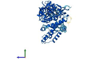Protein Structure (PS) image for Cytochrome P450, Family 2, Subfamily D, Polypeptide 11 (CYP2D11) (AA 1-504) protein (His tag) (ABIN7562997)