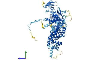 Protein Structure (PS) image for Engulfment and Cell Motility 3 (ELMO3) (AA 1-720) protein (His tag) (ABIN7553781)