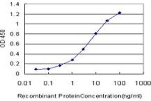 Detection limit for recombinant GST tagged GCM1 is approximately 0. (GCM1 Antikörper  (AA 108-166))