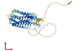 Protein Structure (PS) image for G Protein-Coupled Receptor 143 (GPR143) (AA 1-404) protein (His tag) (ABIN7554048)