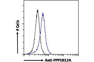 ABIN6391349 Flow cytometric analysis of paraformaldehyde fixed HEK293 cells (blue line), permeabilized with 0.