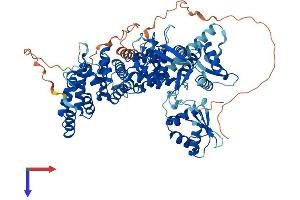 HECTD2 Protein (AA 1-774) (His tag)