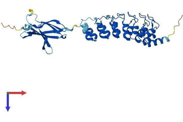 FANK1 Protein (AA 1-344) (His tag)