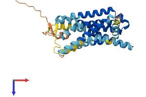 OR2W3 Protein (AA 1-314) (His tag)
