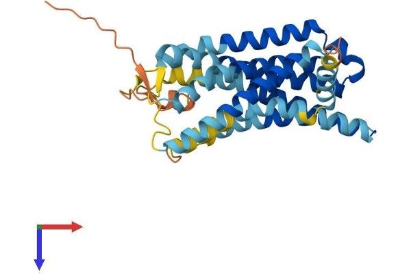 OR2W3 Protein (AA 1-314) (His tag)