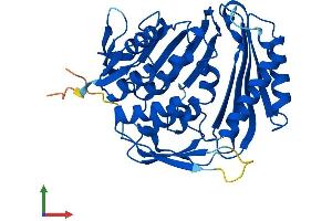Protein Structure (PS) image for RNA Terminal Phosphate Cyclase-Like 1 (RCL1) (AA 1-373) protein (His tag) (ABIN7551342)