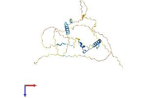 TSSC4 Protein (AA 1-317) (His tag)