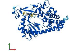 Protein Structure (PS) image for Mab-21-Like 1 (MAB21L1) (AA 1-359) protein (His tag) (ABIN7549199)
