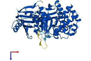GALK2 Protein (AA 1-458) (His tag)