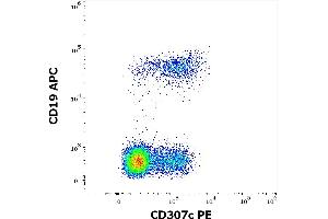 Flow cytometry multicolor surface staining of human lymphocytes stained using anti-human CD307c (H5) PE antibody (10 μL reagent / 100 μL of peripheral whole blood) and anti-human CD19 (LT19) APC antibody (10 μL reagent / 100 μL of peripheral whole blood). (FCRL3 Antikörper  (PE))