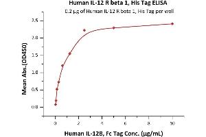 ELISA image for Interleukin 12 Receptor beta 1 (IL12RB1) (AA 24-540) (Active) protein (His tag) (ABIN6809932)