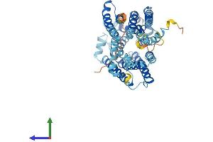 Protein Structure (PS) image for Ankylosis, Progressive Homolog (Mouse) (ANKH) (AA 1-492) protein (His tag) (ABIN7552247)