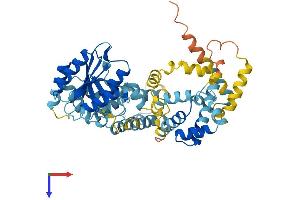 SRP54 Protein (AA 1-504) (His tag)