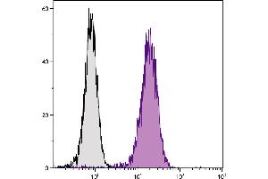 Human T cell leukemia cell line Jurkat was intracellularly stained with Mouse Anti-Human CD107b-UNLB. (LAMP2 Antikörper  (Biotin))