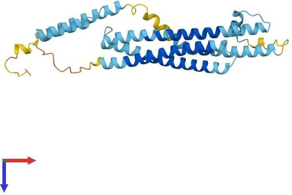 Syntaxin 11 Protein (STX11) (AA 1-287) (His tag)