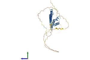 Protein Structure (PS) image for Ha-Ry/enhancer-of-Split Related with YRPW Motif 1 (HEY1) (AA 1-304) protein (His tag) (ABIN7554114)