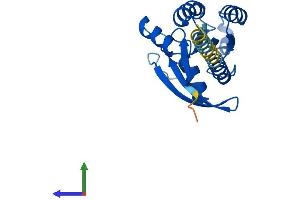 AlphaFold protein structure predicition of Human Recombinant RERG Protein, UniprotID Q96A58