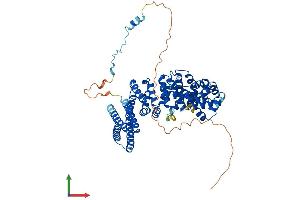 AlphaFold protein structure predicition of Human Recombinant INSC Protein, UniprotID Q1MX18