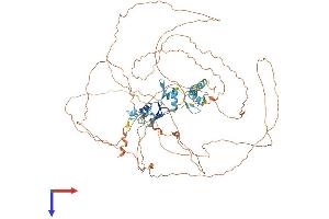 ZNF828 Protein (AA 1-802) (His tag)